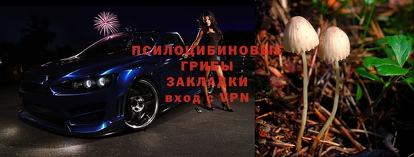 a pvp Алзамай