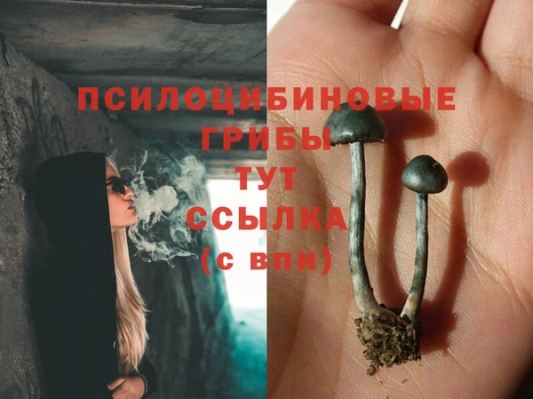 a pvp Алзамай