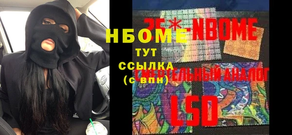 индика Новодвинск