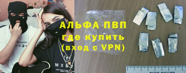 индика Новодвинск