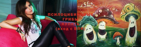 гидропоника Новокубанск